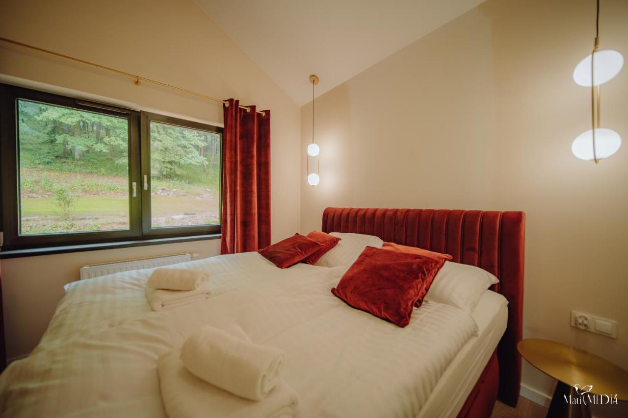 Apartment Silence Karpatia Delux Z Wanna