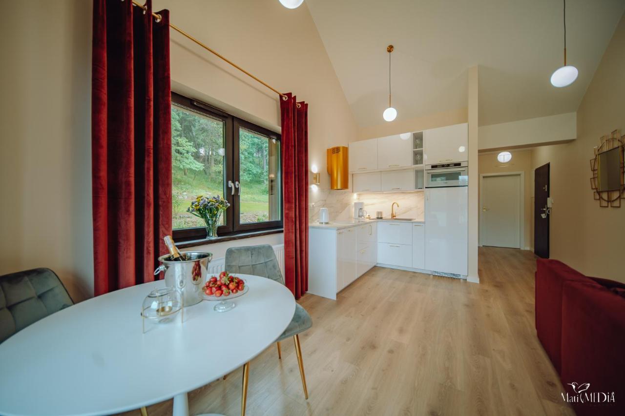 Apartment Silence Karpatia Delux Z Wanna *